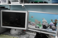 Aquarium