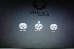 Lion-Win8