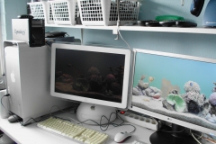 Synology