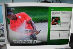 Win8-Sport