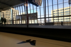 IMG_20190216_114742